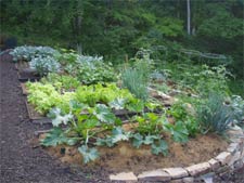 Demonstration organic vegetable garden